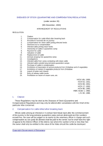 file cover image