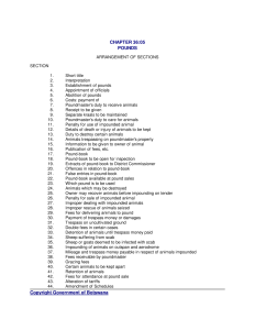 file cover image