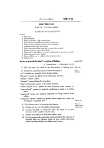 file cover image