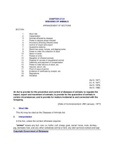 file cover image