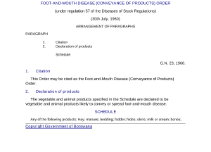 file cover image