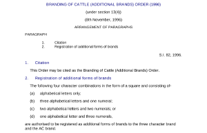 file cover image
