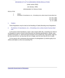 file cover image