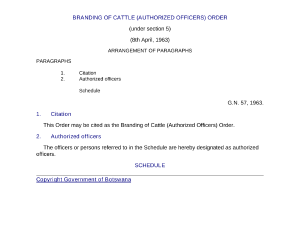 file cover image