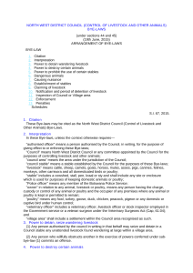file cover image