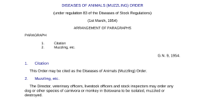 file cover image