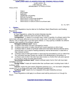 file cover image