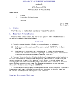 file cover image