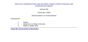 file cover image