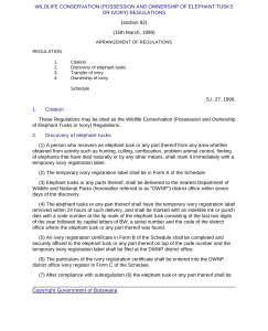 file cover image