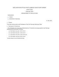 file cover image