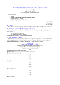 file cover image