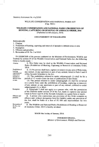 file cover image