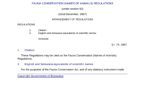 file cover image